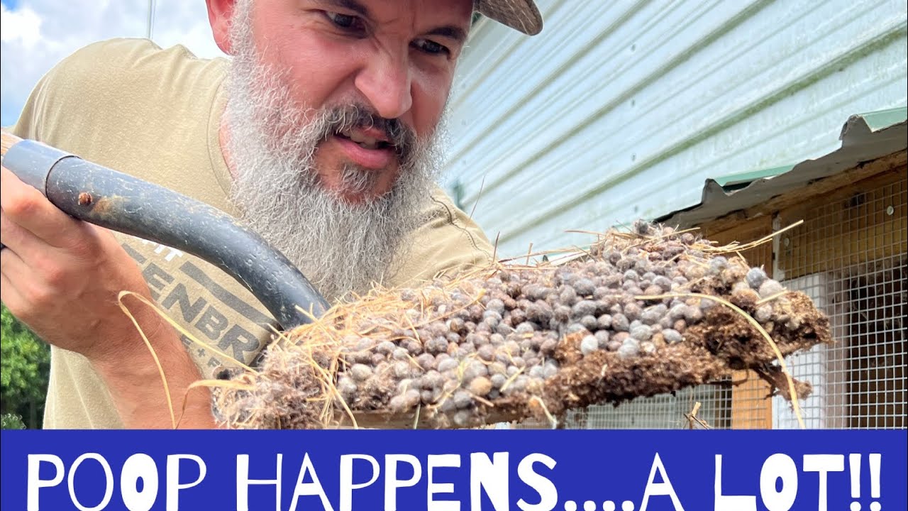 Fertilize Catcher - Rabbit Poop Catcher