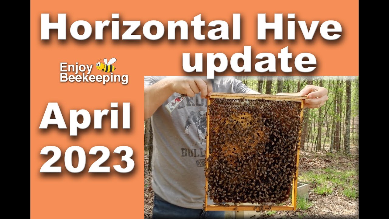 04 05 2023 Beekeeping Update