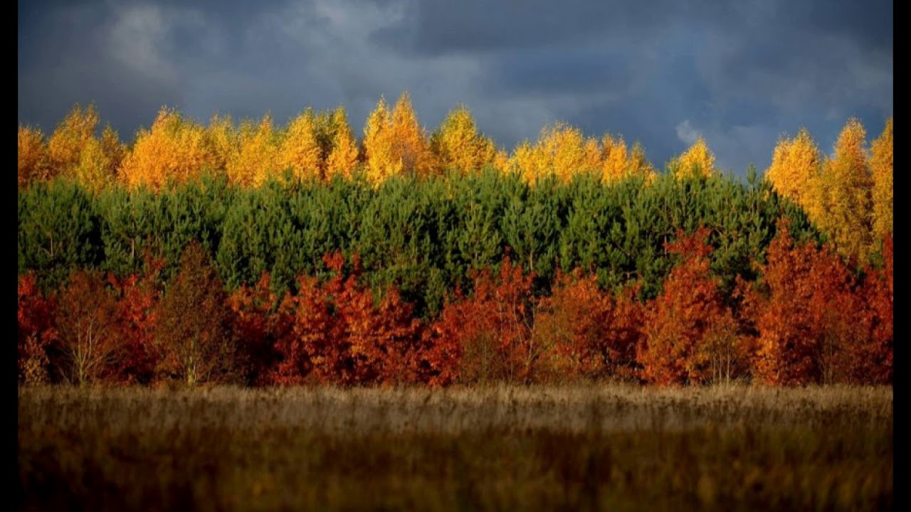 Gražiausios spalvos - Palangos Stasio Vainiūno meno mokyklos choras