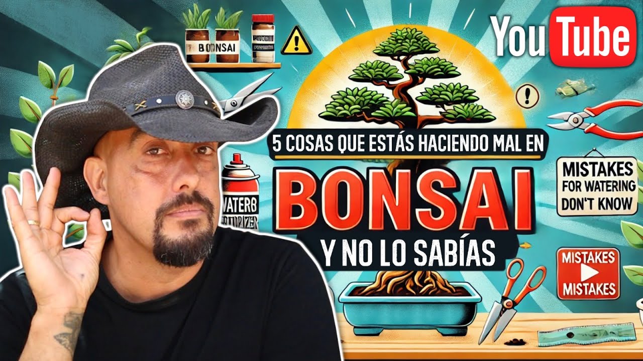 5 Cosas que estás haciendo mal en bonsái y no lo sabías