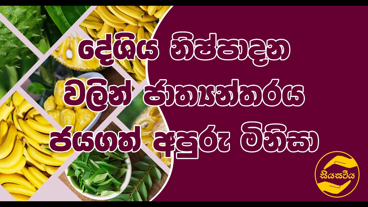 Siya Sawiya - Episode 03 - අපනයන කෘෂි ව්‍යාපාරික ගාමිණි ඥාණතිලක මහතා