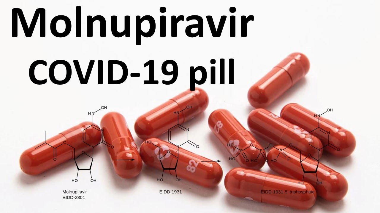 Molnupiravir COVID-19 pill | COVID 19 drug | Scitechtrends