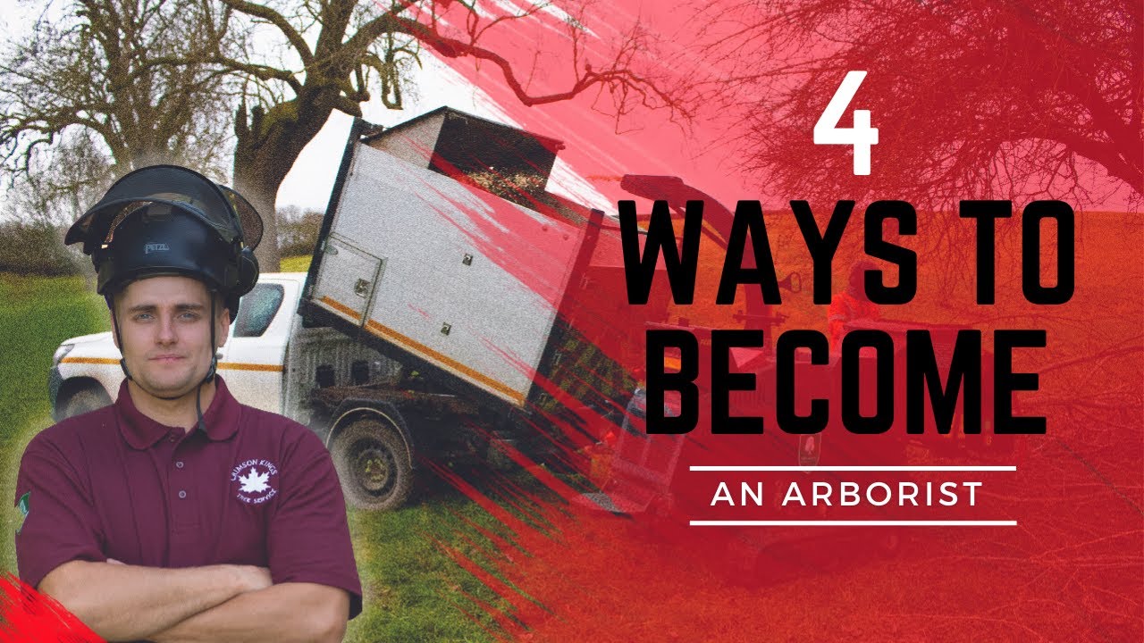 How to Become an Arborist: The 4 Different Ways