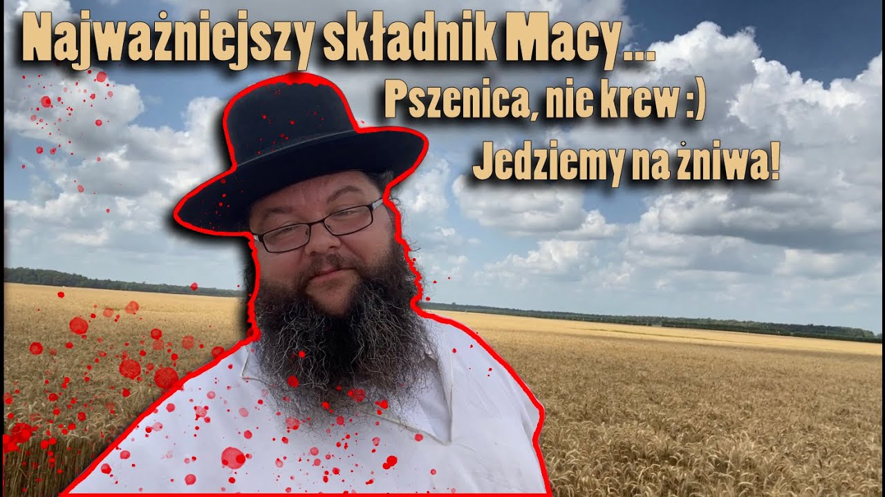 Żydowskie żniwa - Najważniejszy składnik Macy - wyjazd na wycieczkę w teren | Tajemniczy Świat Żydów