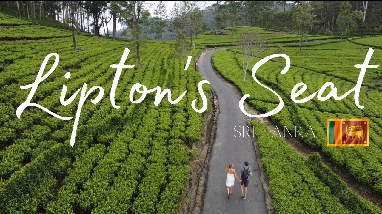 Lipton’s Seat | Sri Lanka (Haputale) 🇱🇰
