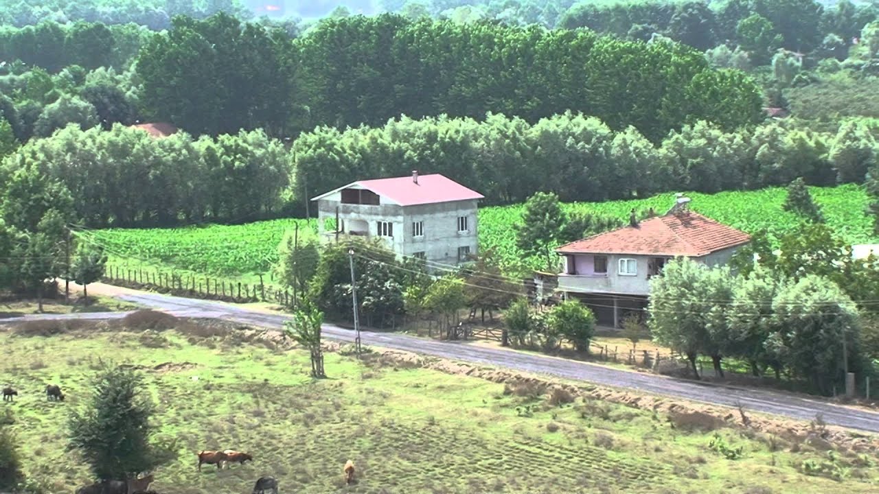 2015 YEŞİLOVA HD samsun