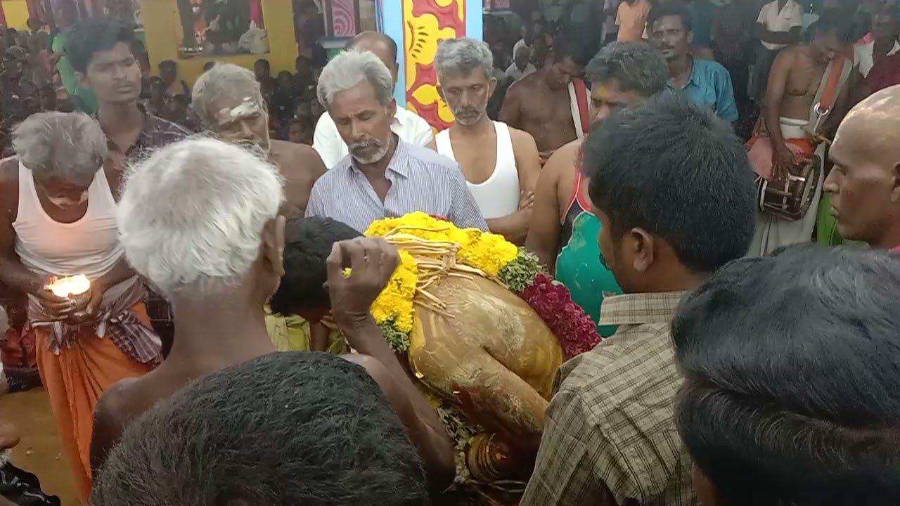 உச்சிபொத்தை உறுத காளியம்மன்  பாட்டுப்பாடி அருள் வரச் செய்யும் போது