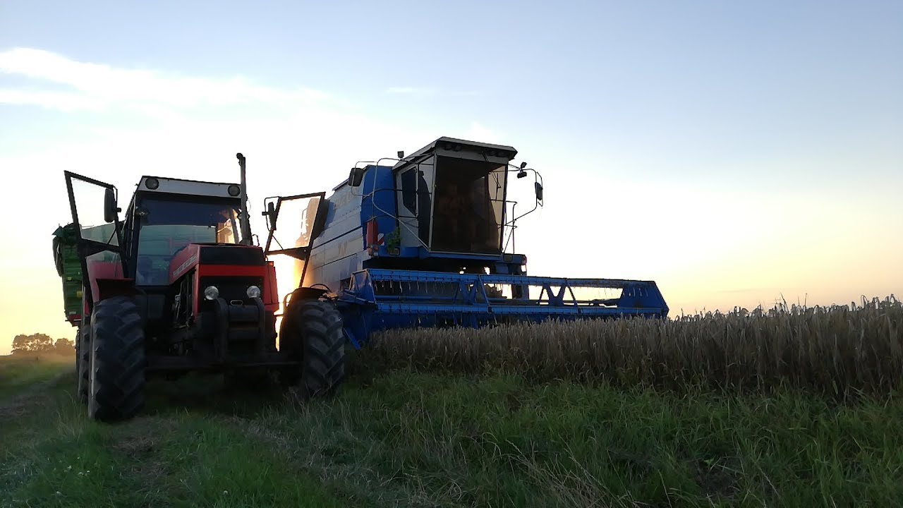 Żniwa 2018 ☆ Bizon BS-z110 & Zetor 12145 & Zetor Forterra 125 & Ursus c4011/360 ☆ P.G.R.