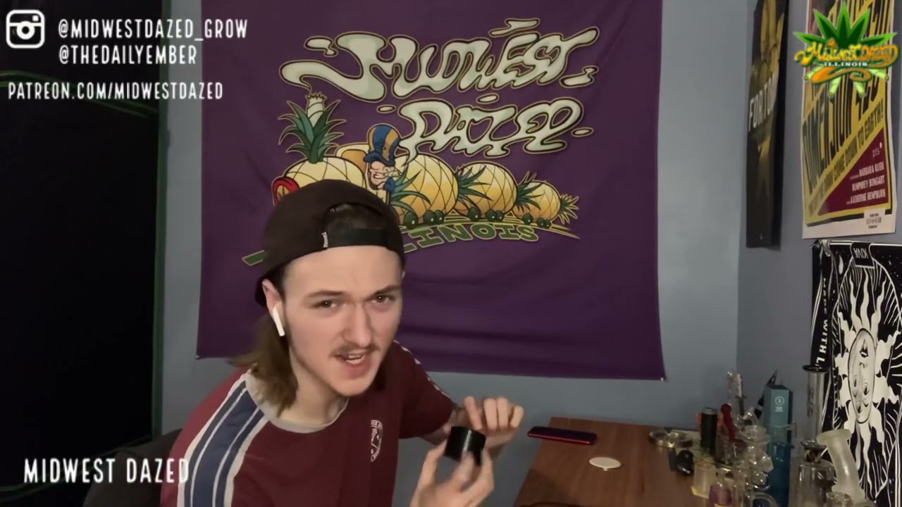Durban Poison by UPNORTH Review