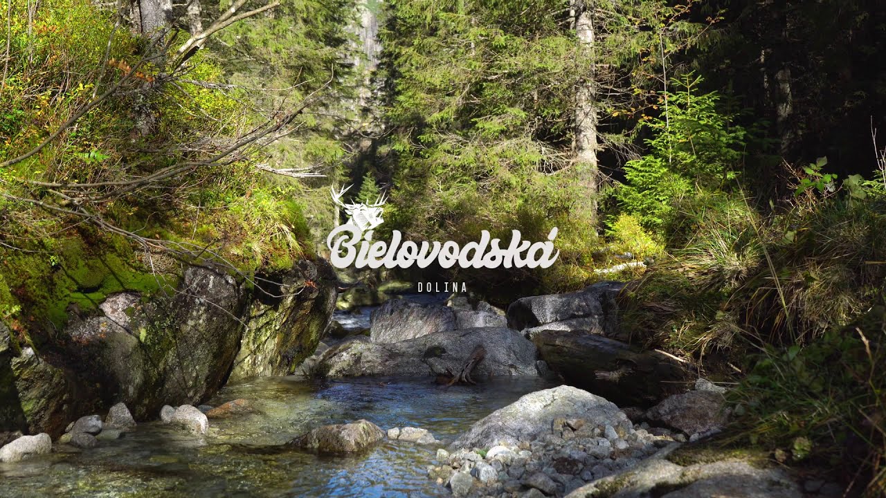 Bielovodská dolina