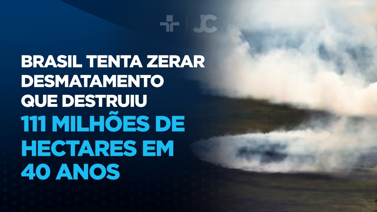 Brasil tenta zerar desmatamento que destruiu 111 milhões de hectares em 40 anos
