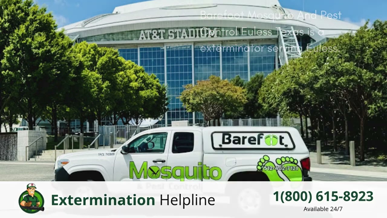 Top 3 Exterminators in Euless