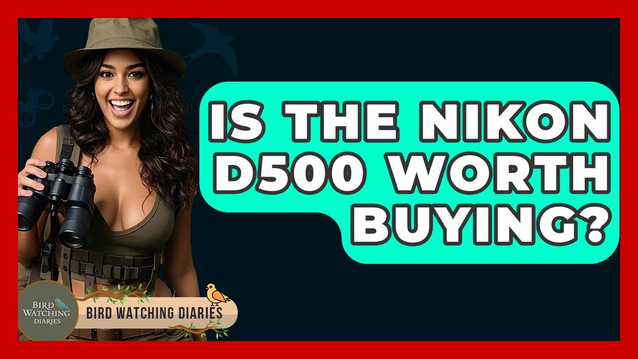 Is The Nikon D500 Worth Buying? - Bird Watching Diaries