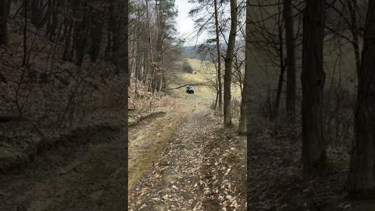 Linhai 500 vs cf 500
