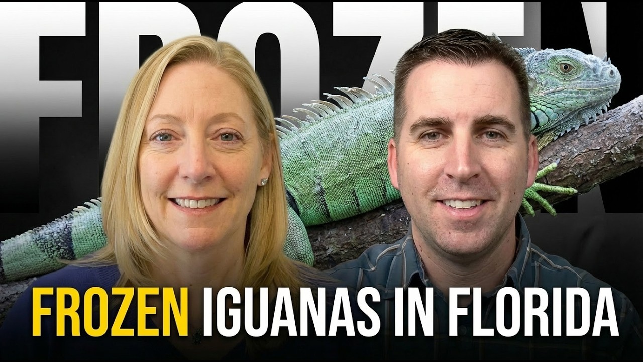 Frozen Iguanas, Winter Storm Alerts, WEA Messaging & Emergency Communication Best Practices