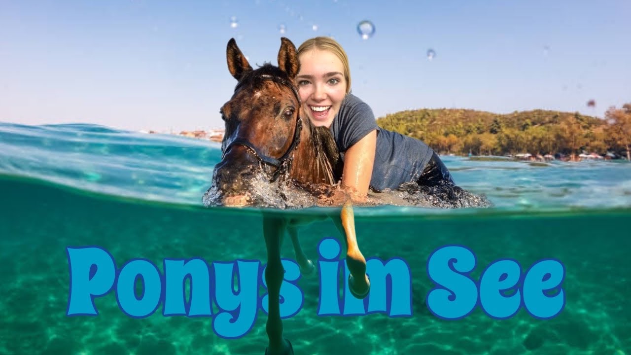 ICH WAR MIT PFERD IM SEE SCHWIMMEN😍
