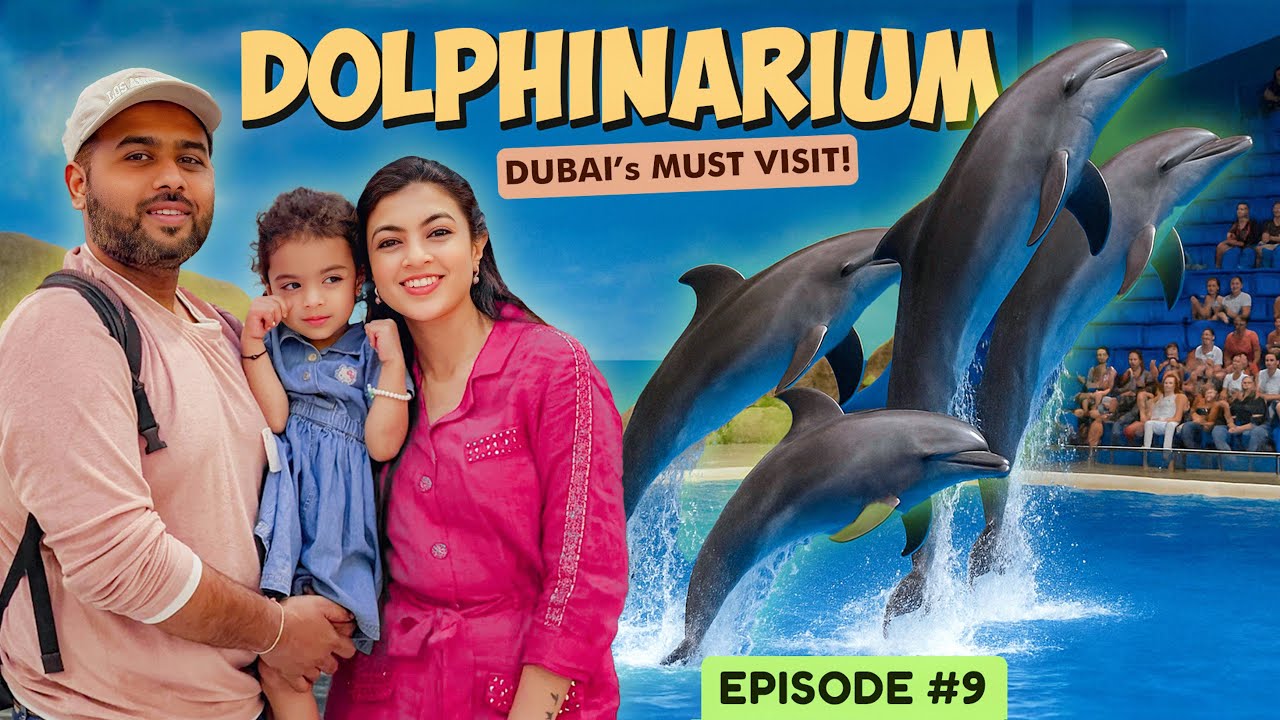 Dubai Dolphinarium | Dubai Dolphin & Seal Show | Must visit attraction in Dubai for Kids
