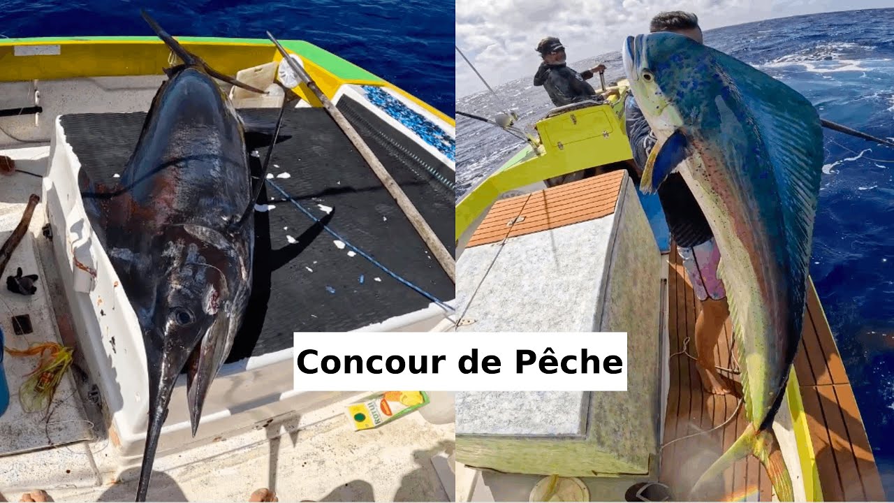 CHASSE au MAHI / Traine au MARLIN et Concours de pêches (Polynésie française)