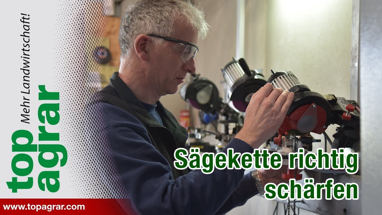 Tipp: Sägekette richtig schärfen