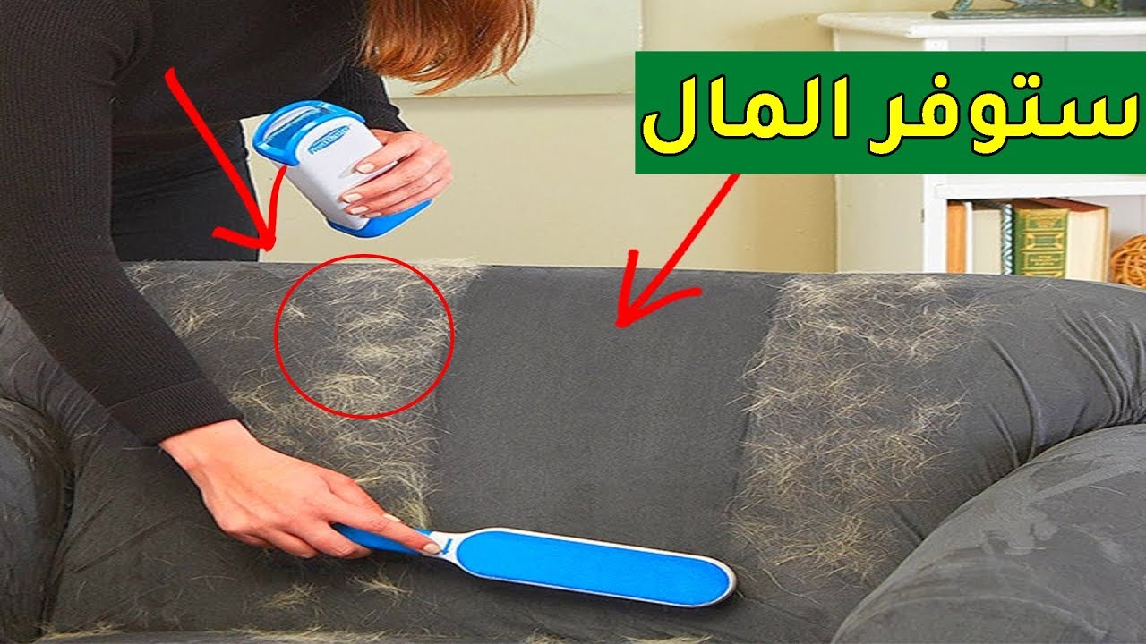أفكار وحيل يحتاجها كل مربي قطط