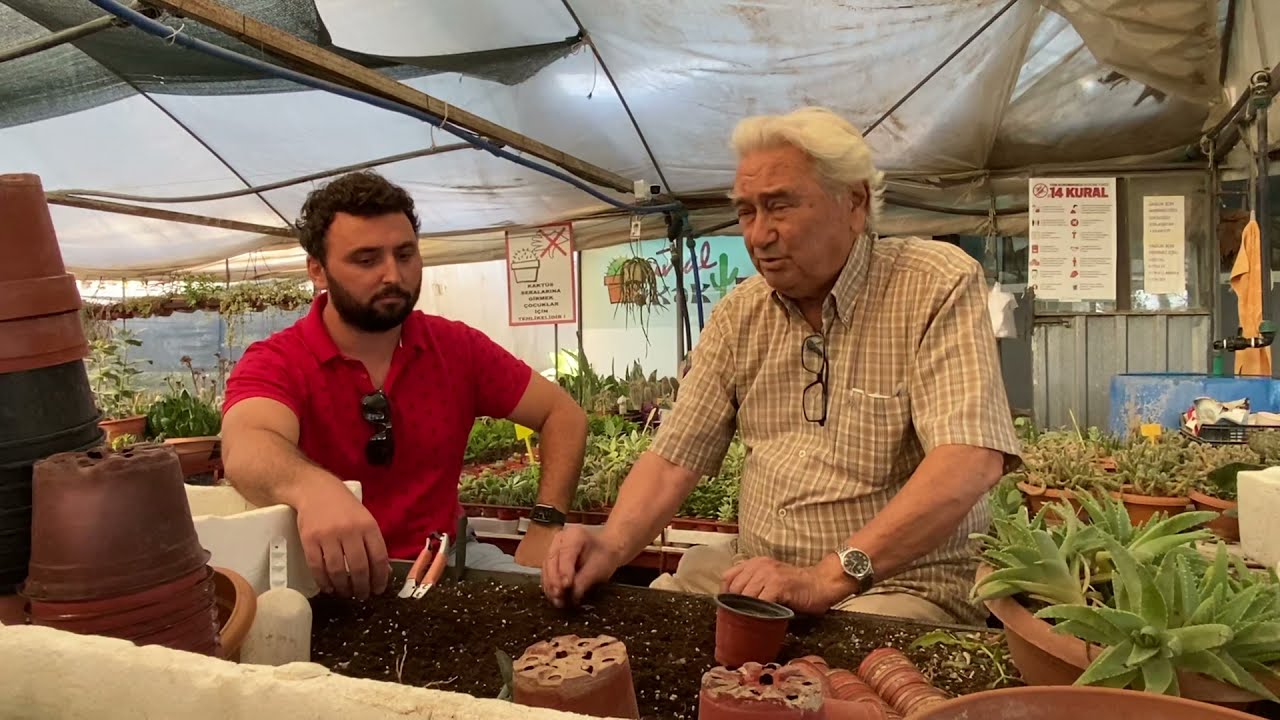 Ünal Kaktüs ziyaret - Toprak karışımları ve saksılar üzerine bilgilendirmeler