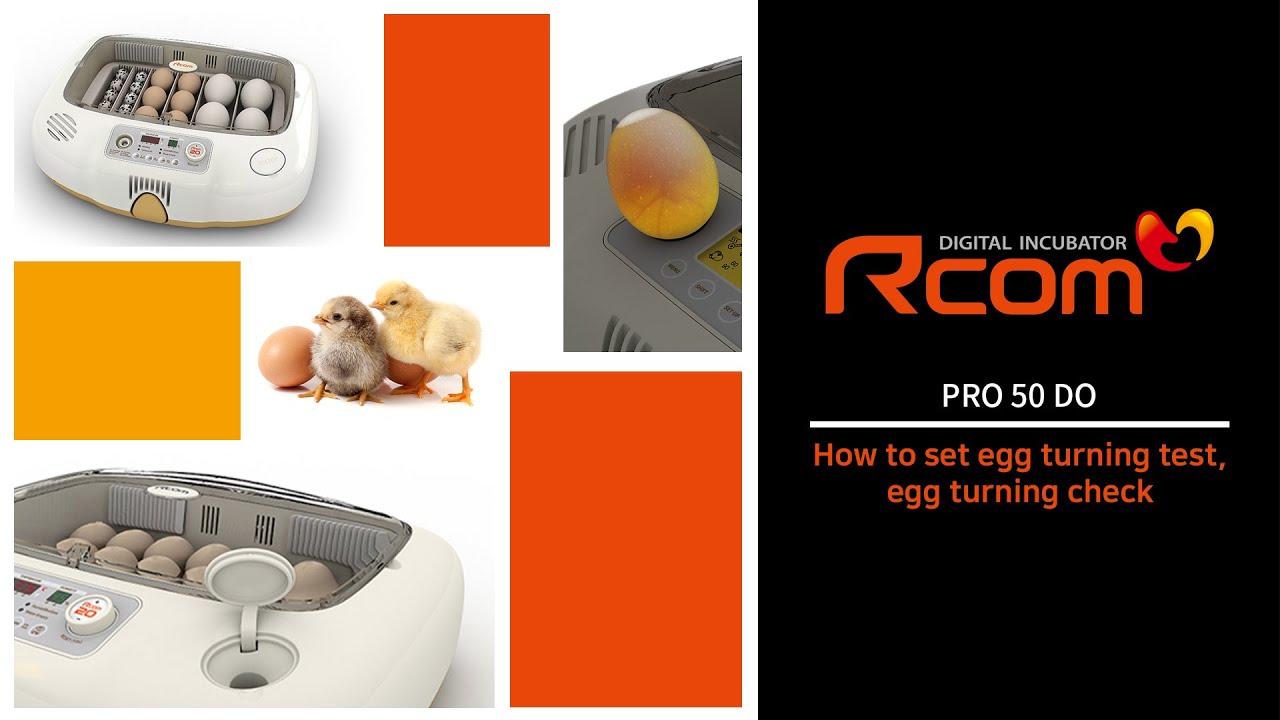 Rcom PRO 50 DO Incubator : How to set egg turning test, egg turning check