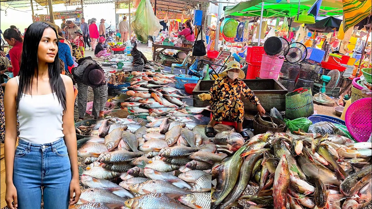 កុំភ្លេចចុចមើលបងប្អូនបើចង់ដឹងត្រីនៅផ្សារពន្លៃថ្ងៃនេះ || TAT SOKKΕΑ - ΚΗ [Ep. 1179]