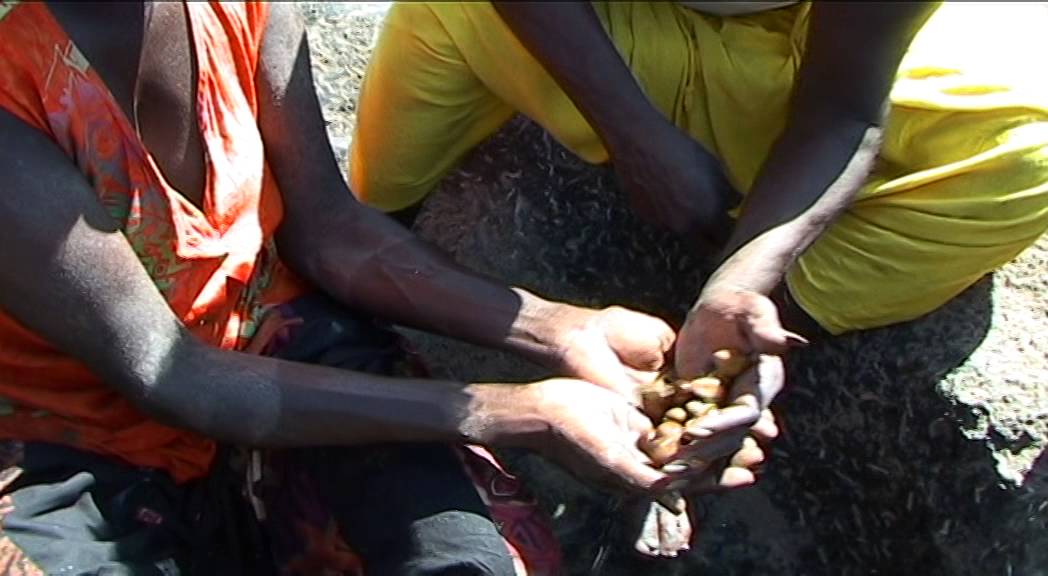 Bangaliwuy Dhawaldhawal