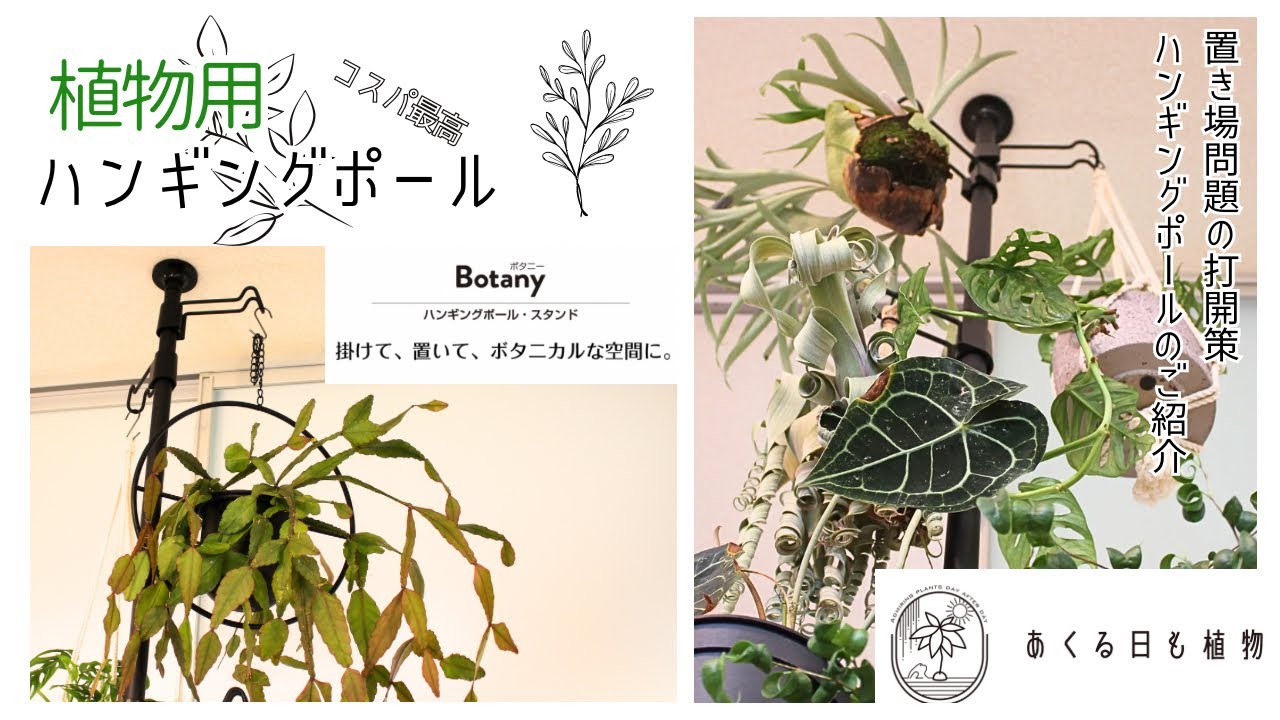 植物用ハンギングポールの紹介「Botany ハンギングポール」置き場所問題打開策