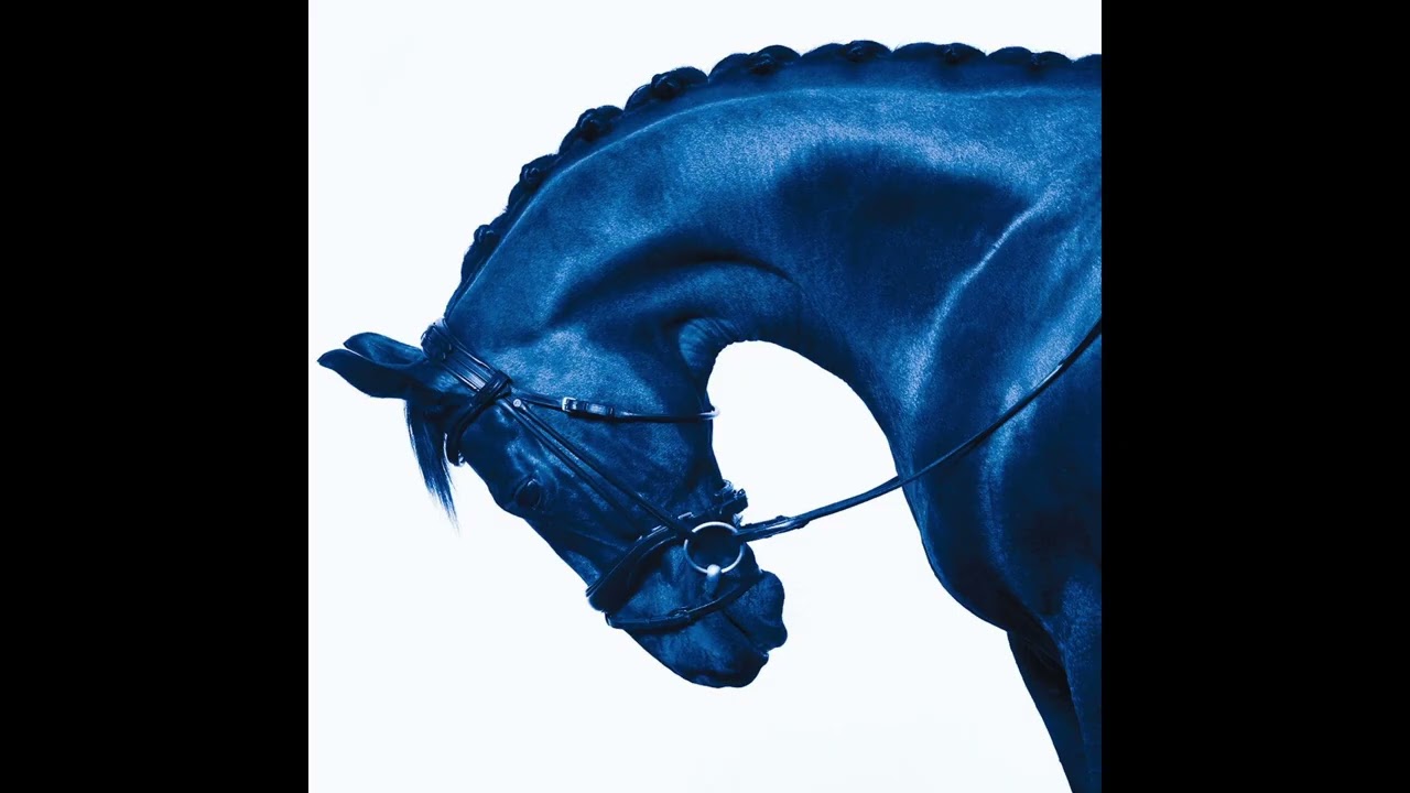 [FREE] SKEPTA X CENTRAL CEE TYPE BEAT 