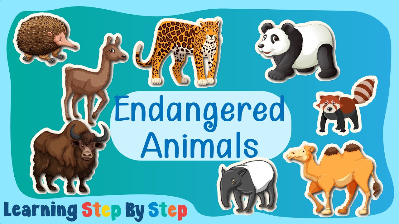 ABC Endangered Animals | Interesting and Educational Endangered Species Facts