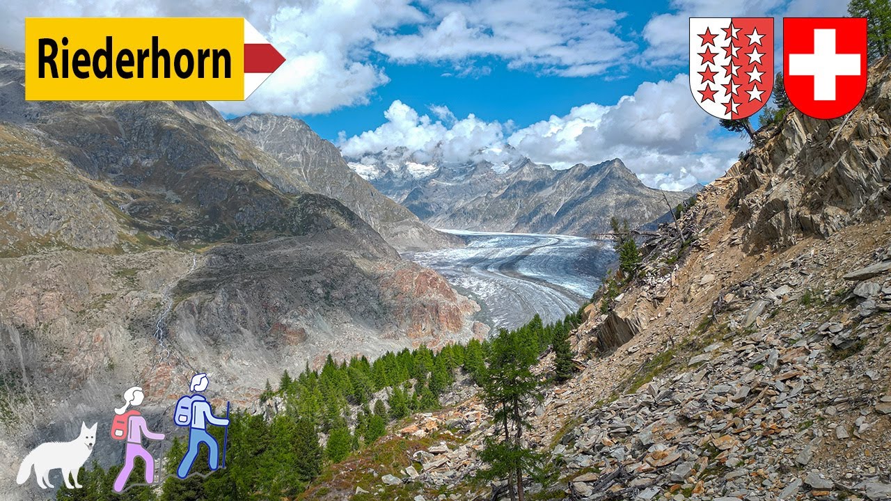Rundwanderung Riederalp – Riederhorn – Aletschwald – Bettmeralp