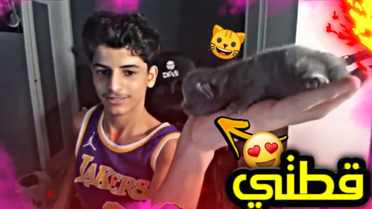 قطتي جابت بيبي !! تبريكات التخرج😍🔥