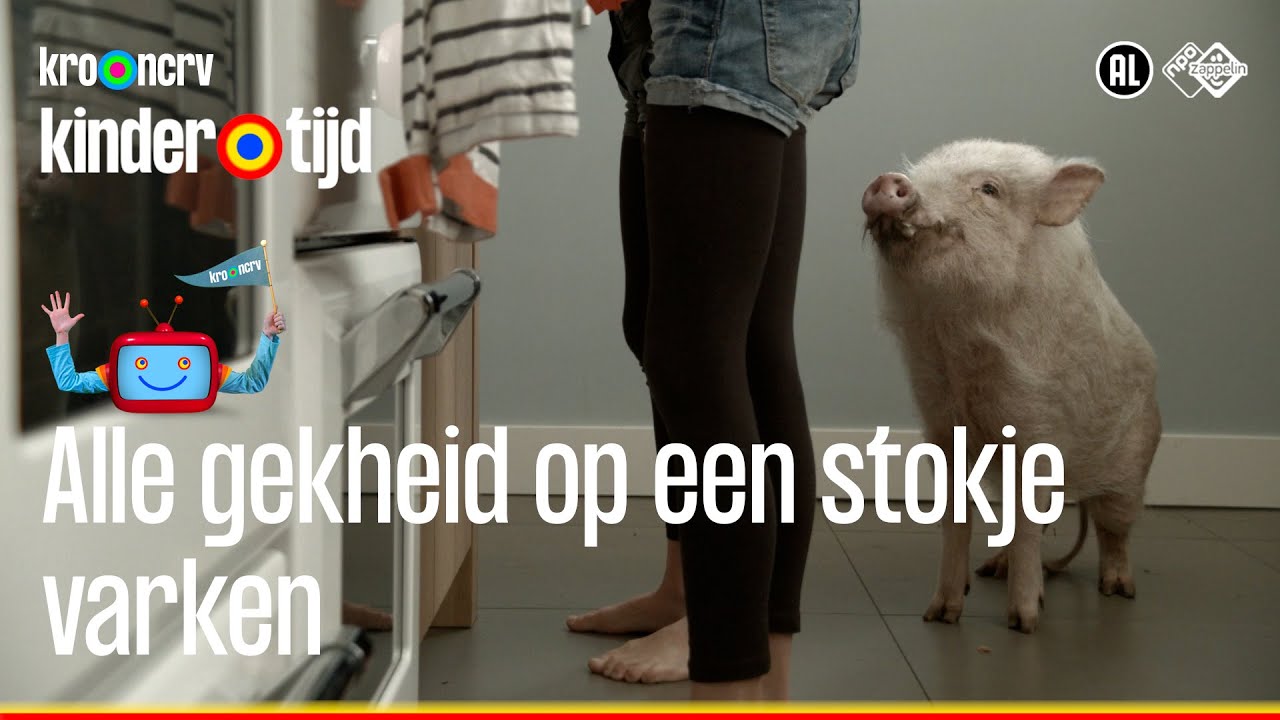 Varken | Alle gekheid op een stokje (Kindertijd KRO-NCRV)