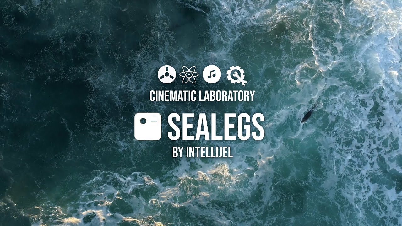 Intellijel SeaLegs v1.0