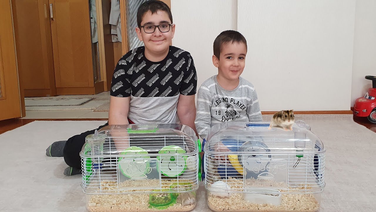 Hamster Kafesini Temizledik Pamuk ile Oscarın Evi Tertemiz Oldu