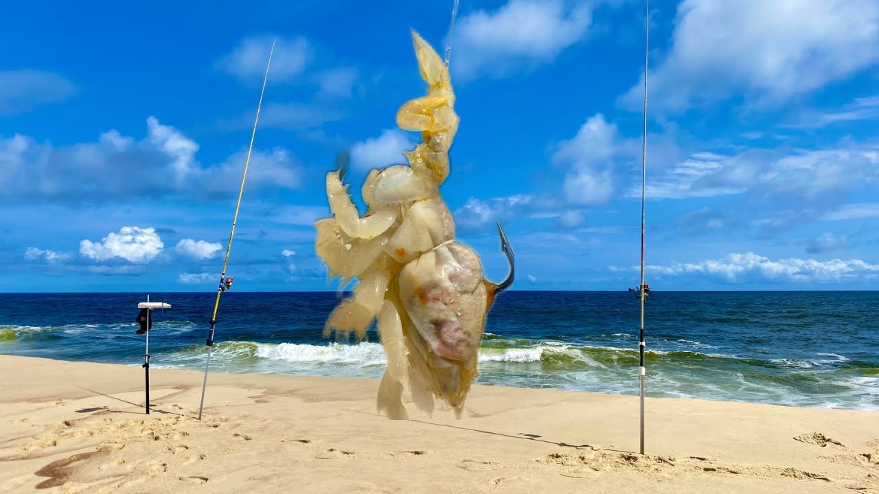 Aprenda Esse Truque de Isca E Garanta Boas Fisgadas na Pescaria de Praia!