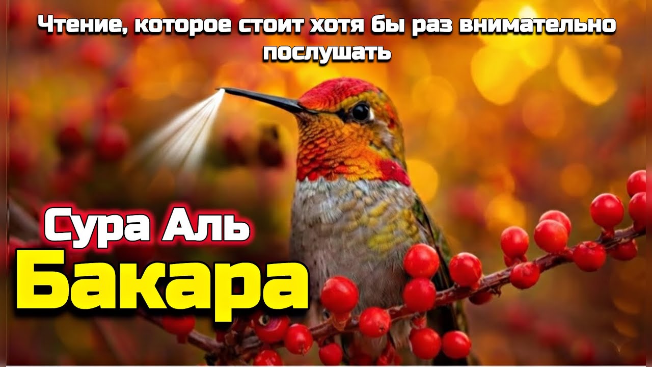 🌙 В ночи и дни Рамадана слушай суру Аль-Бакара