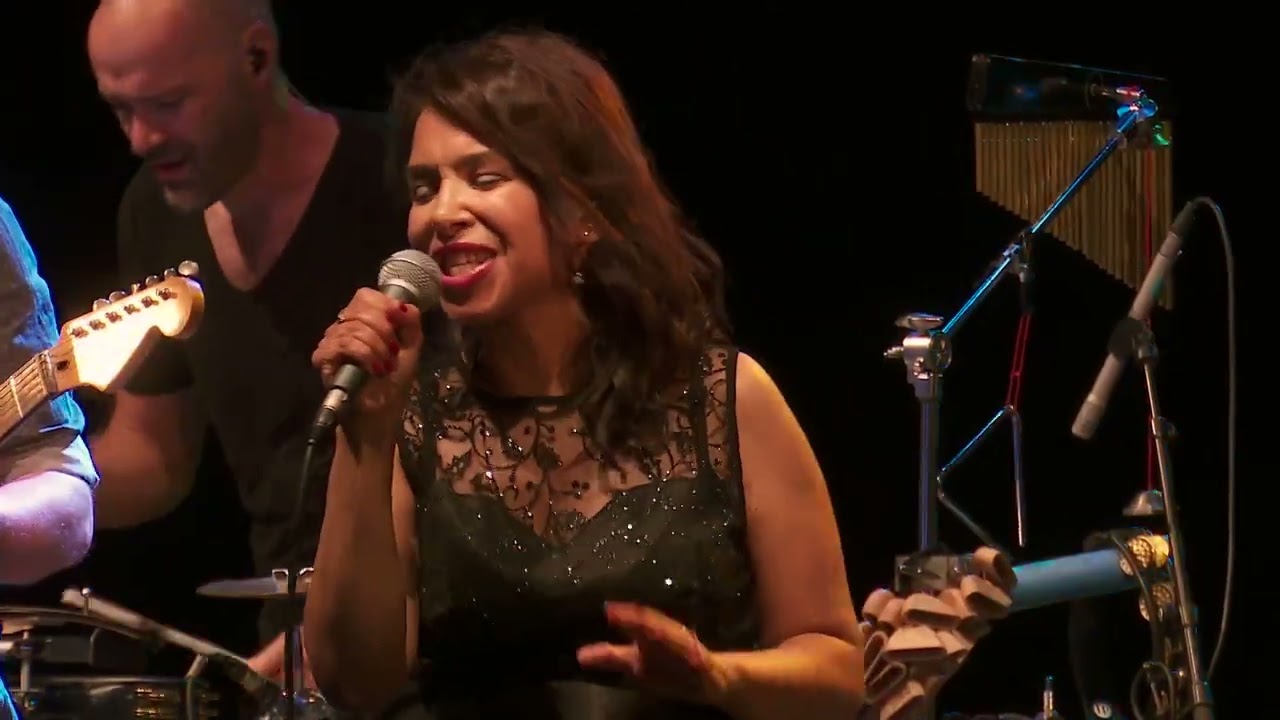 I Wish - Steve Ferrone & Friends - Mo' Live !