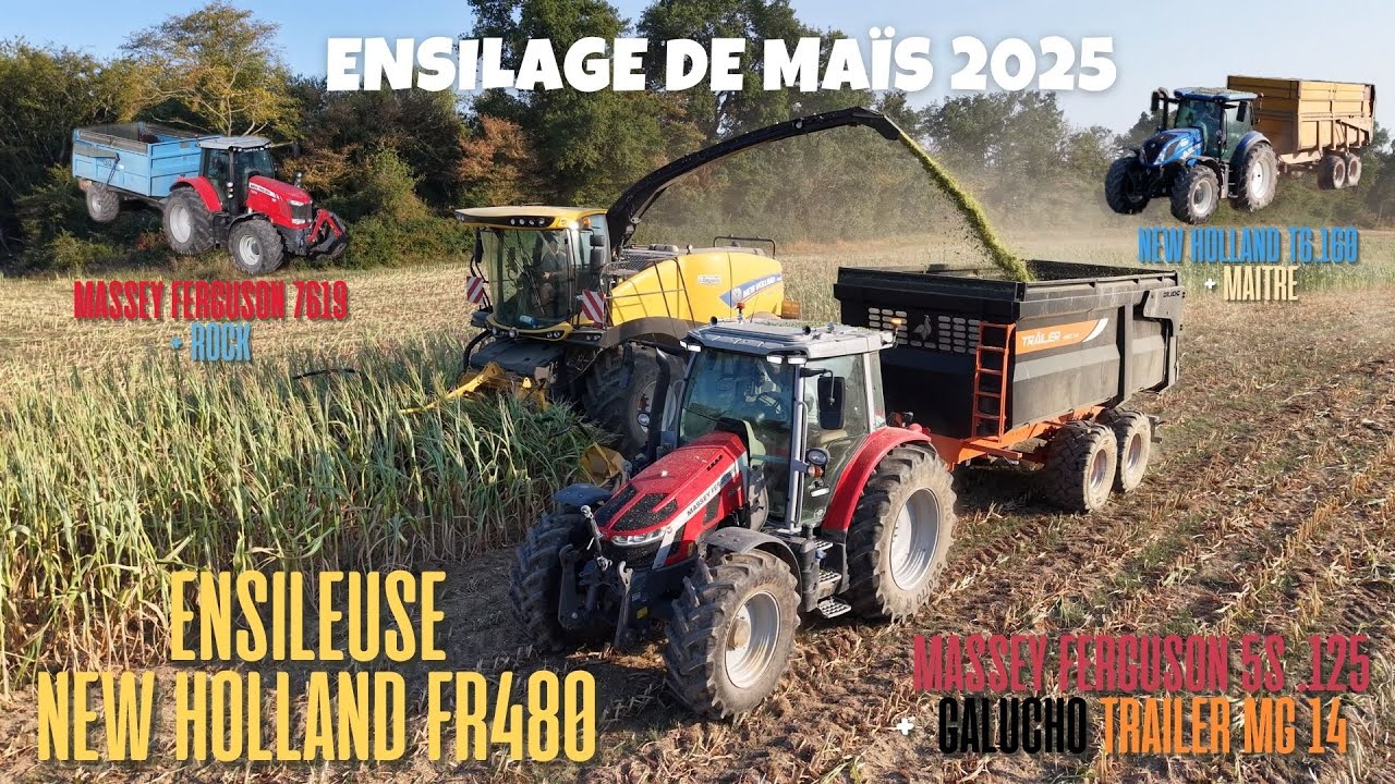 ENSILAGE DE MAÏS 2025 AVEC UNE NEW HOLLAND FR480 + 3 ENSEMBLES TRACTEURS / BENNES