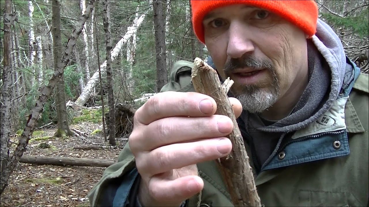 Survival Skills - No tools Paiute Deadfall