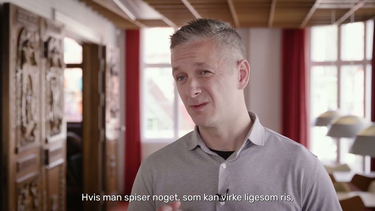 Origenal - Ambassadørkorpset