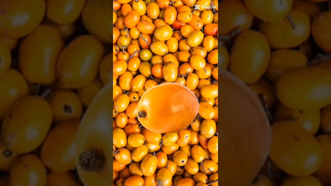 #frutas#caja#shorts#viral