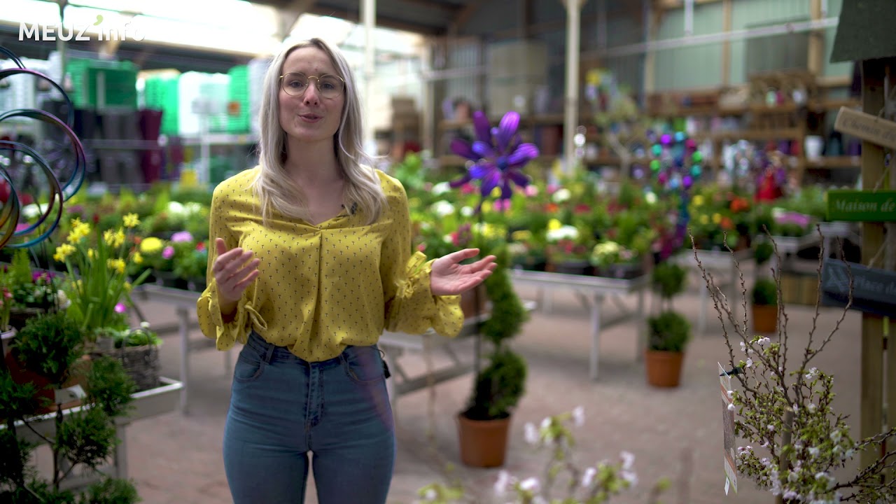 La saison du jardin chez Bricomarché Bar le Duc