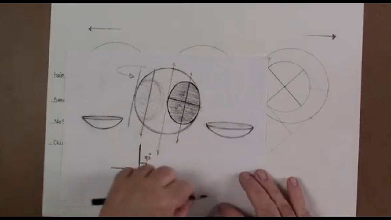 Loomis Method to Draw the Profile