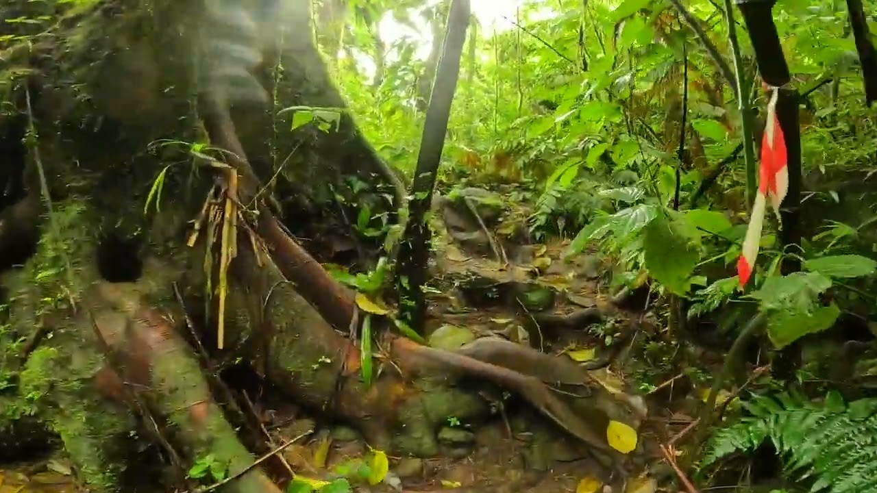 Cascade Missoré