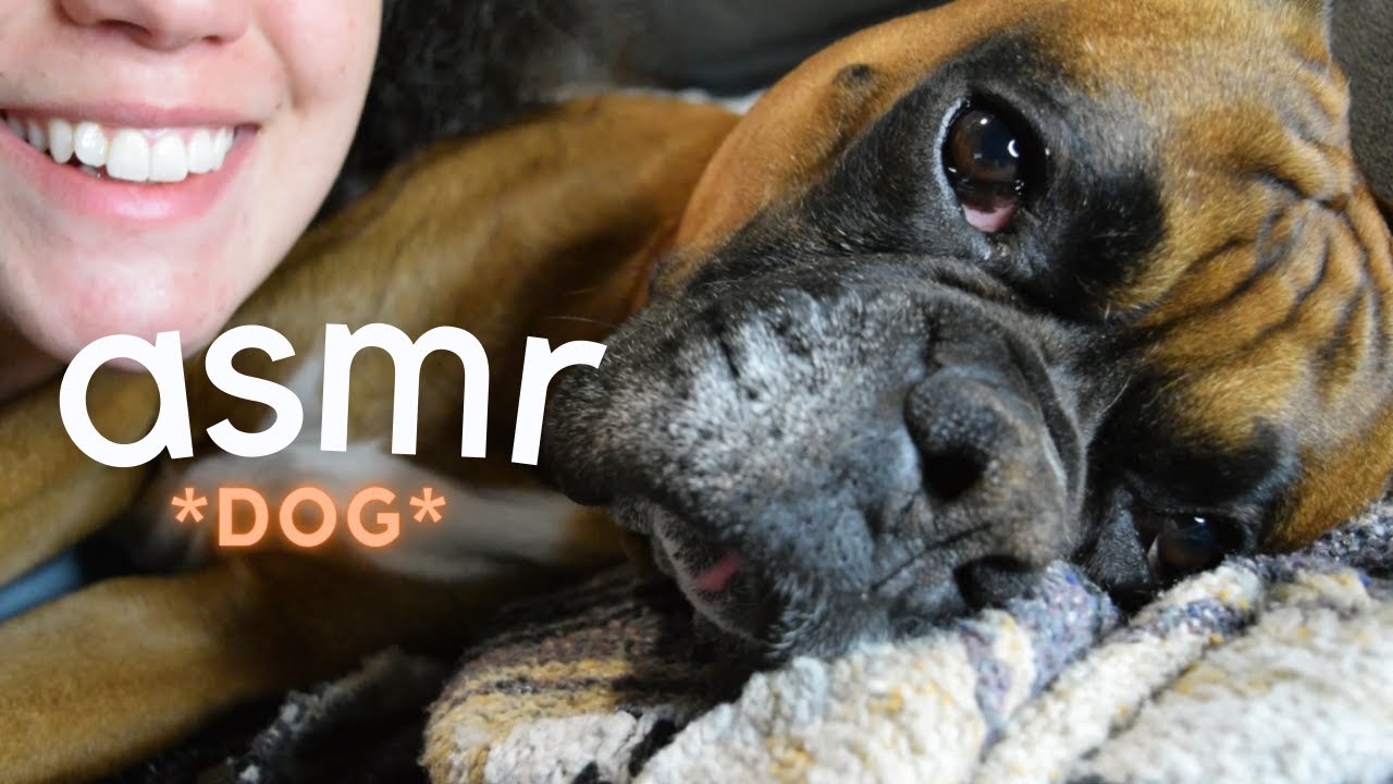 ASMR WITH MY DOG [SCRATCHING, PETTING, WHISPERING]