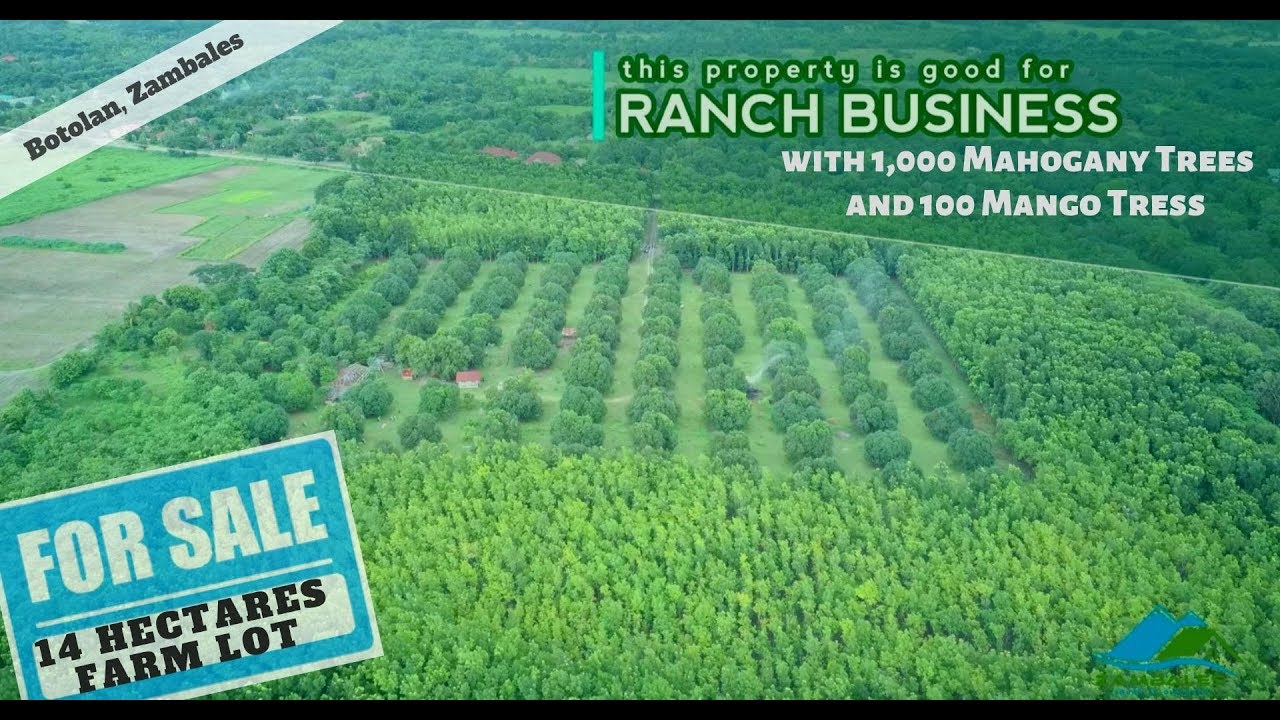 Property for Sale in Botolan, Zambales -  14 hectares Farm Lot