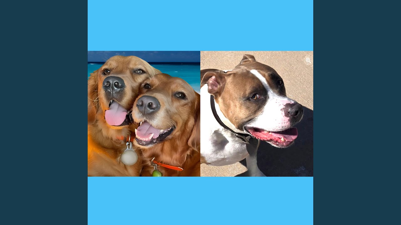 They're Family Too (Indie)