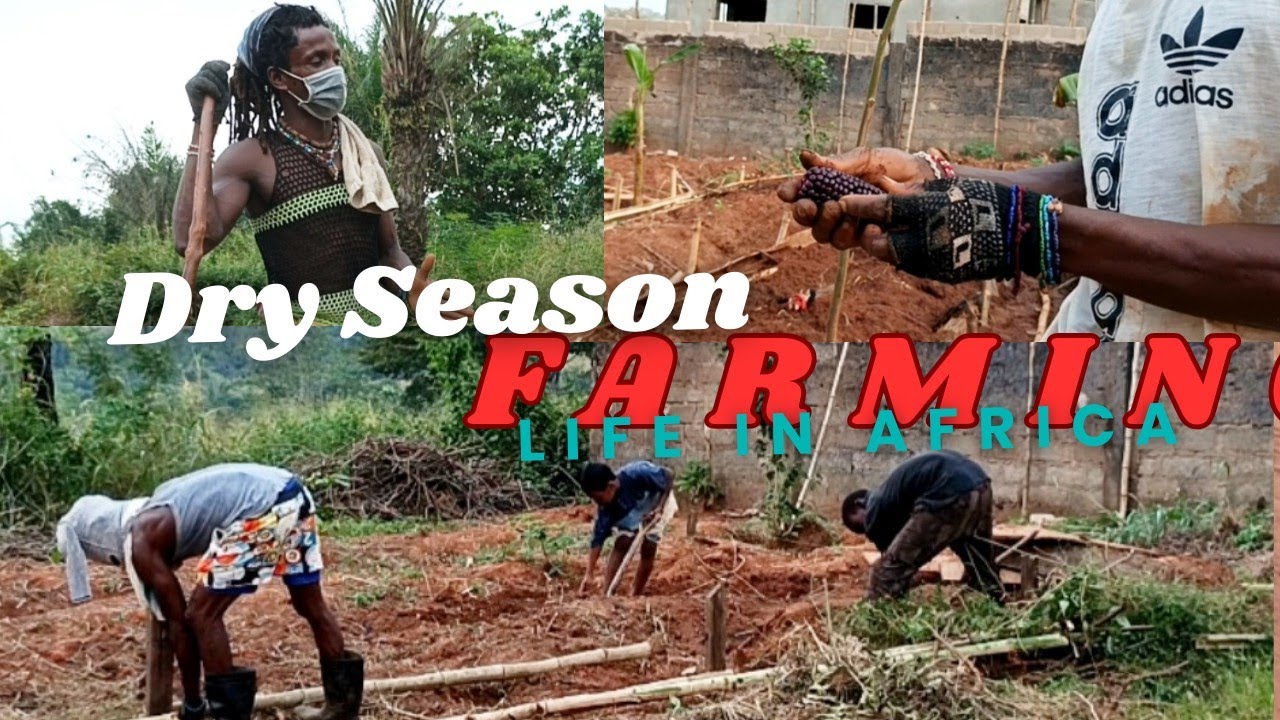 Dry Season Time, farm method changes abd mor difficult hihi😏